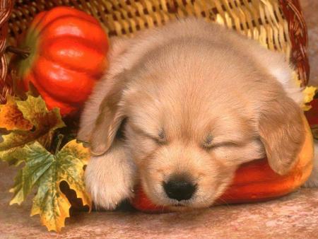 Trop mignon !!!!! 