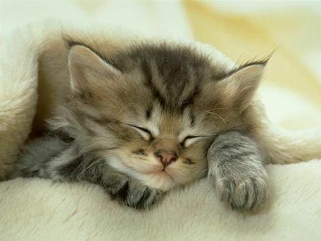 Encore trop mimi !!